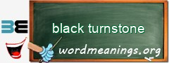 WordMeaning blackboard for black turnstone